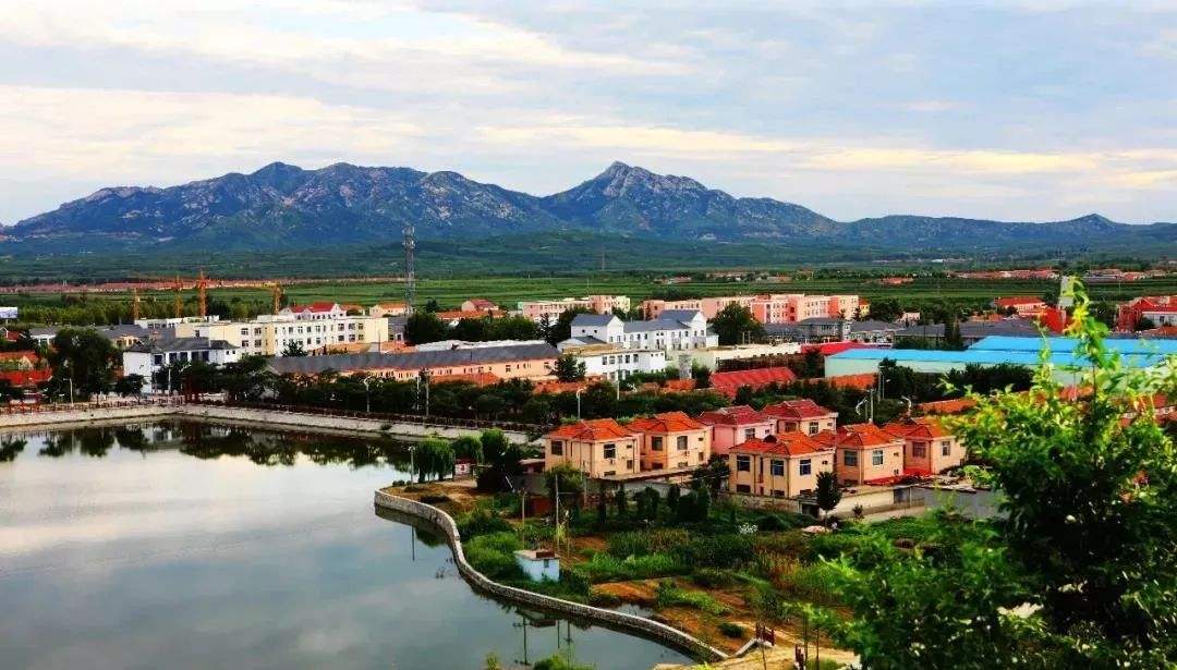 青島市&ldquo;十四五&rdquo;生態(tài)環(huán)境保護(hù)規(guī)劃了哪些農(nóng)村人居環(huán)境治理任務(wù)？